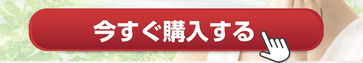 今すぐ購入する