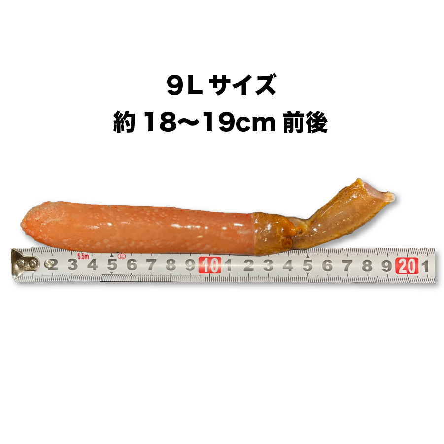 生ずわい蟹棒ポーション(10本 500g)