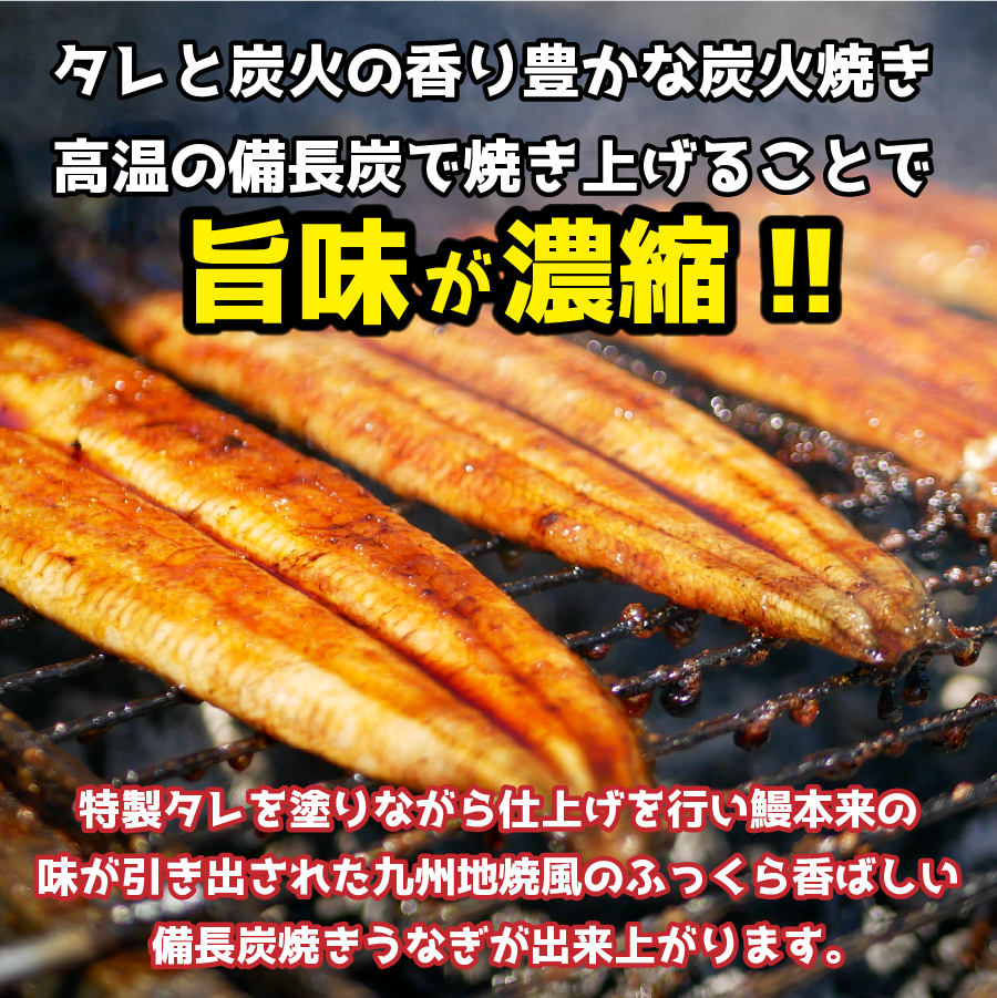 特大備長炭手焼きうなぎ蒲焼（200g×2尾）