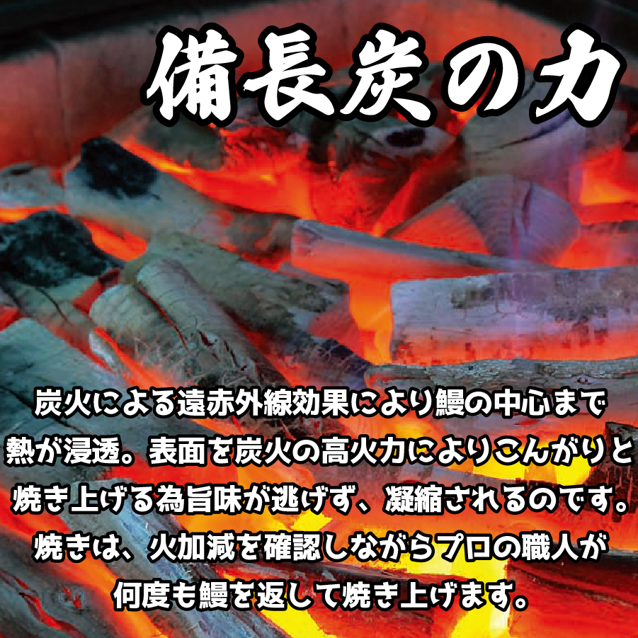 特大備長炭手焼きうなぎ蒲焼（200g×2尾）