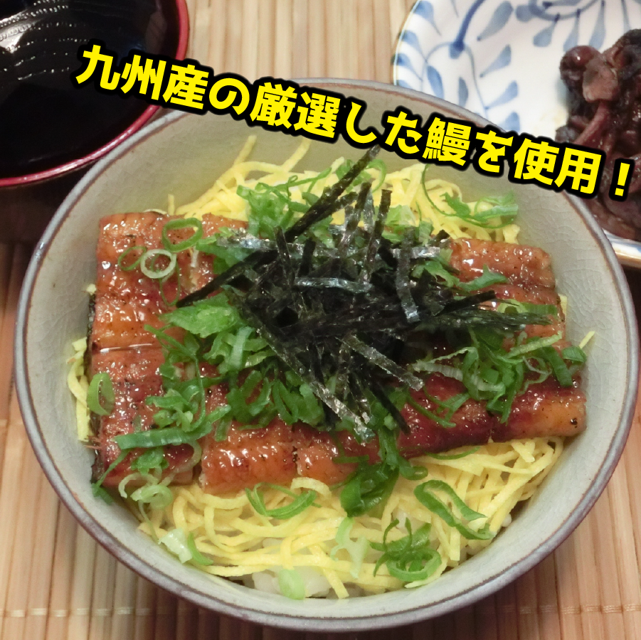 特大備長炭手焼きうなぎ蒲焼（200g×2尾）
