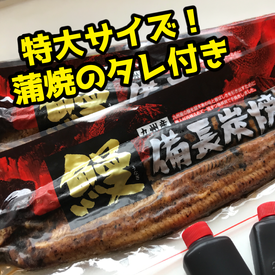 特大備長炭手焼きうなぎ蒲焼（200g×2尾）