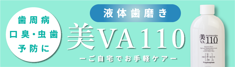 美VA１１０